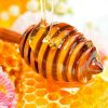 آیا خصوصیات اصل طبیعی را می‌شناسید؟