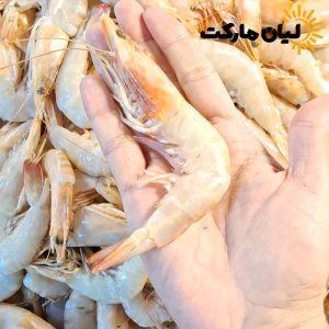 عکس میگو سایز 41-50 در کف دست برای نمایش اندازه واقعی – میگو سرتیز دریایی بوشهر